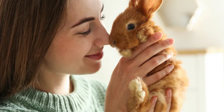 Young,Woman,With,Adorable,Rabbit,Indoors,,Closeup.,Lovely,Pet