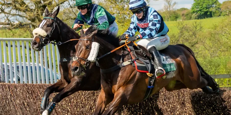 Spring into Action at Mollington Races feature