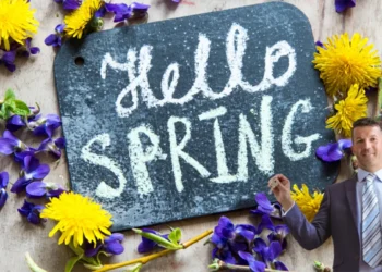 Instruct an Estate Agent Feature