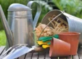 Great Gardening Gifts Feature