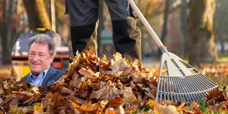 Autumn Leaves Feature