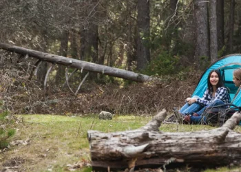 Wild Camping Feature