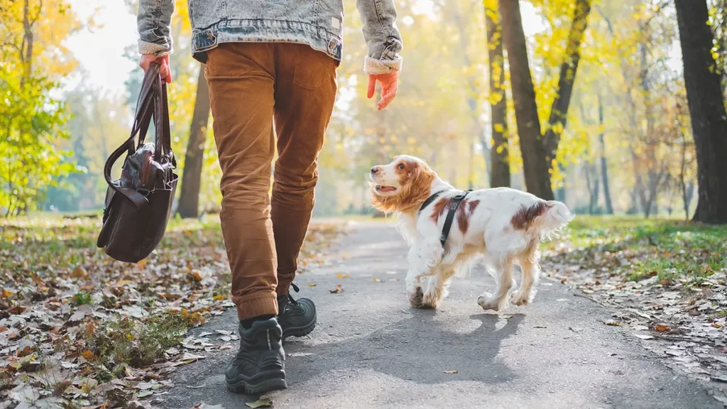 New Year, New Walks