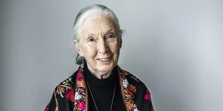 Jane Goodall