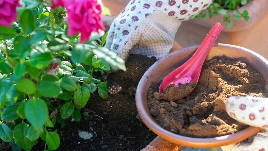 Gardening Hacks