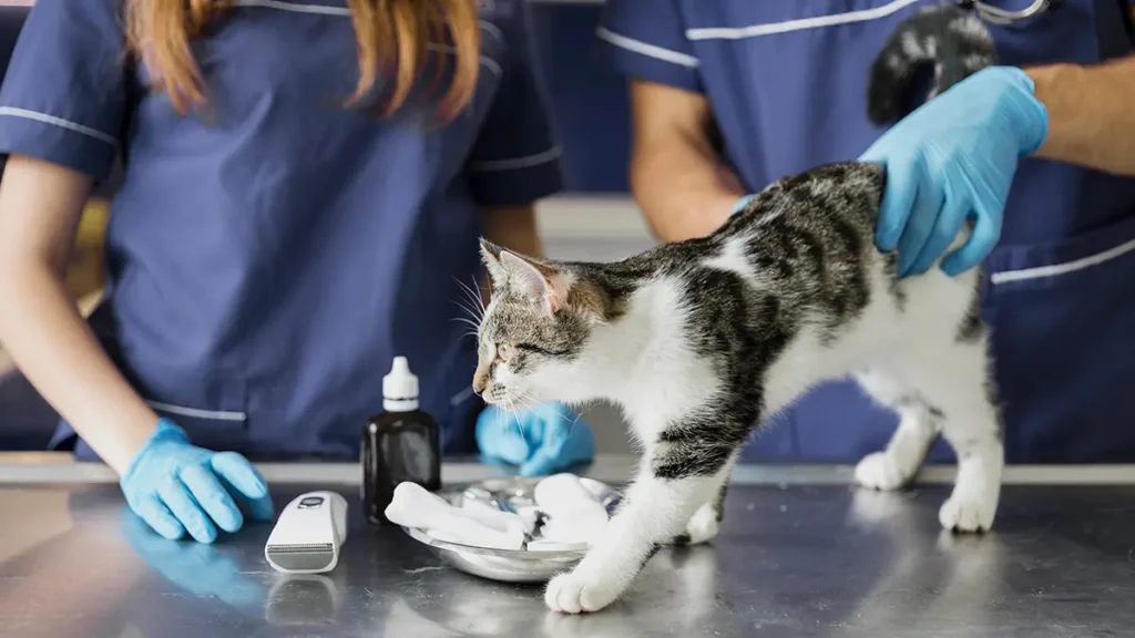 pet health warning