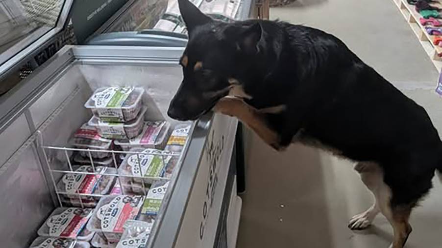 Middle Aston Pet Supplies
