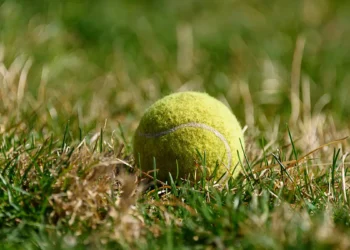 Wimbledon 2025