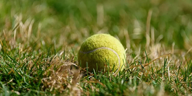 Wimbledon 2025