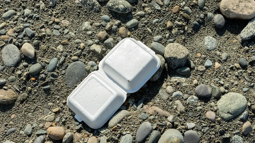 household items that take longest to biodegrade v