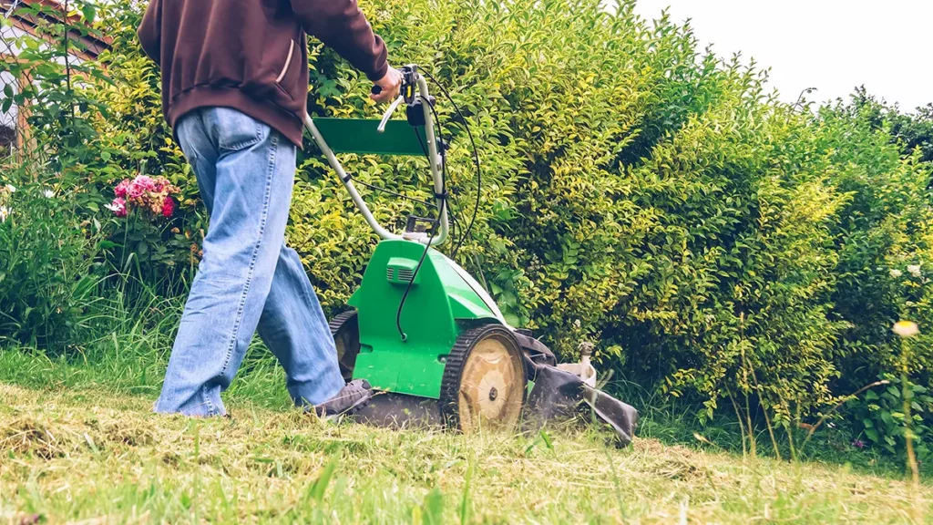 Best Time To Mow Your Lawn