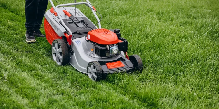Best Time To Mow Your Lawn Feature