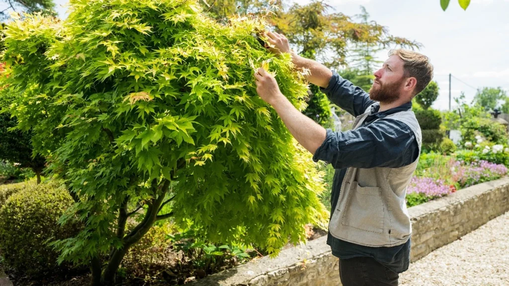 how to help your garden survive a drought