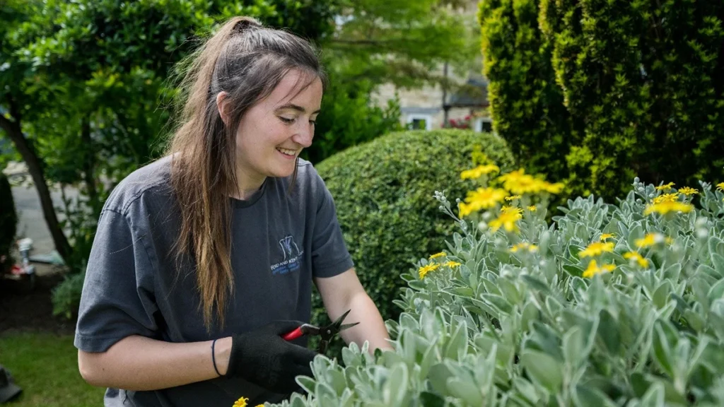 how to help your garden survive a drought