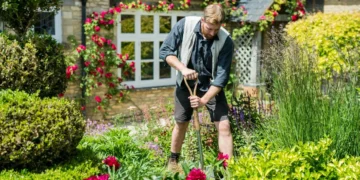how to help your garden survive a drought